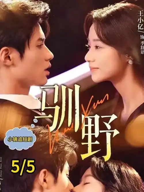 我们住的那条街 都市群像剧